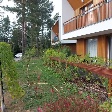 Forest No 305,tarcin Sarajewo